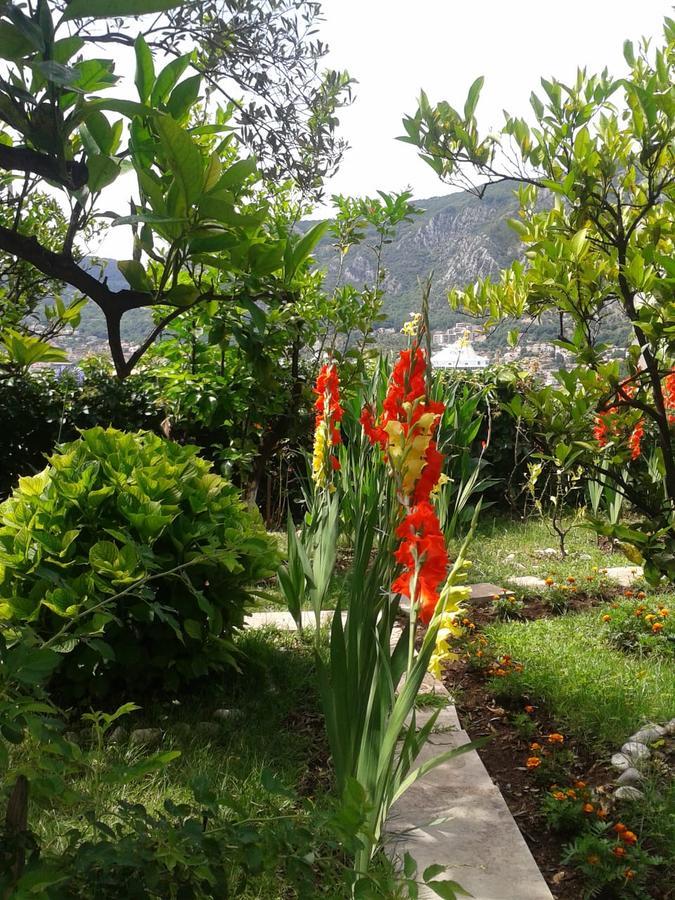 Kotor Kelly Apartments Екстериор снимка